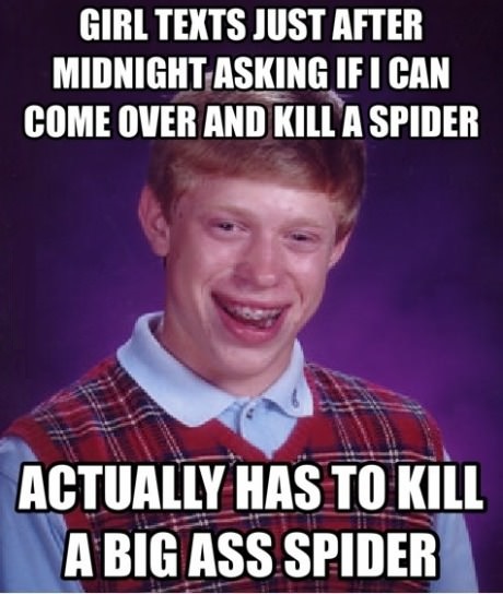 funny-picture-bad-luck-brian-spider-girlfriend