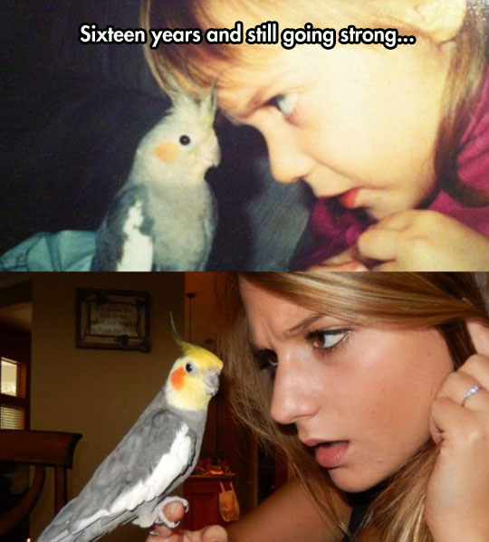 funny-picture-now-then-photo-girl-parrot