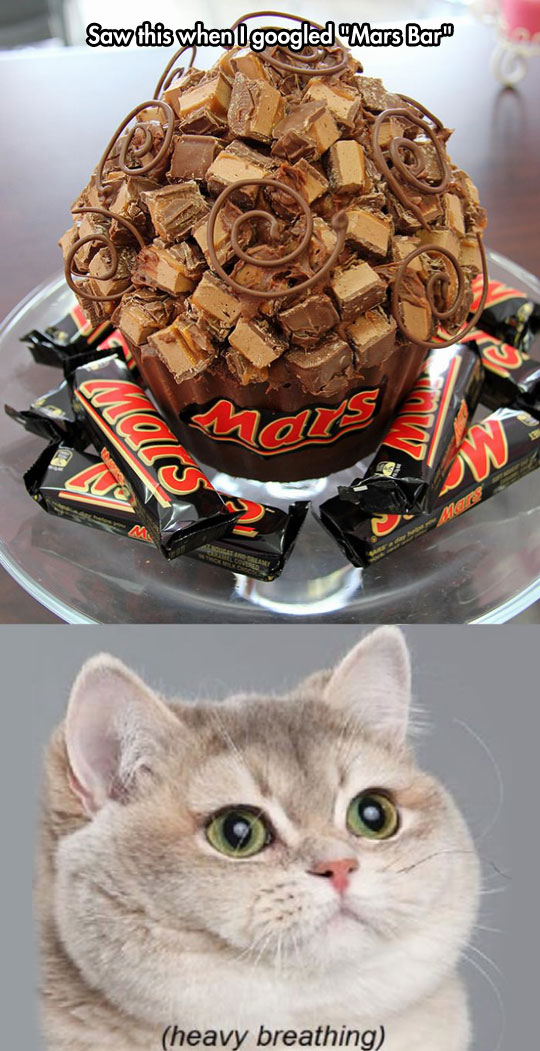 funny-picture-Mars-bar-giant-cupcake-chocolate
