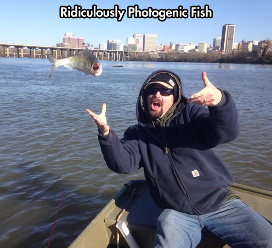 funny-picture-fish-boat-dude-river-bridge