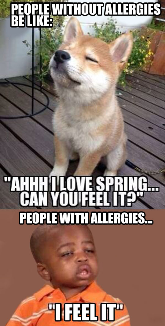 funny-picture-people-allergies-spring-sick-kid