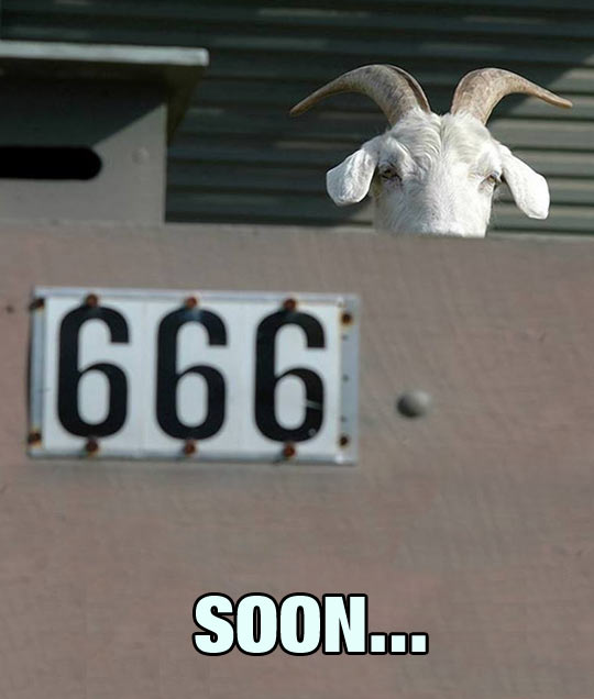 funny-picture-Satan-goat-hiding-fence