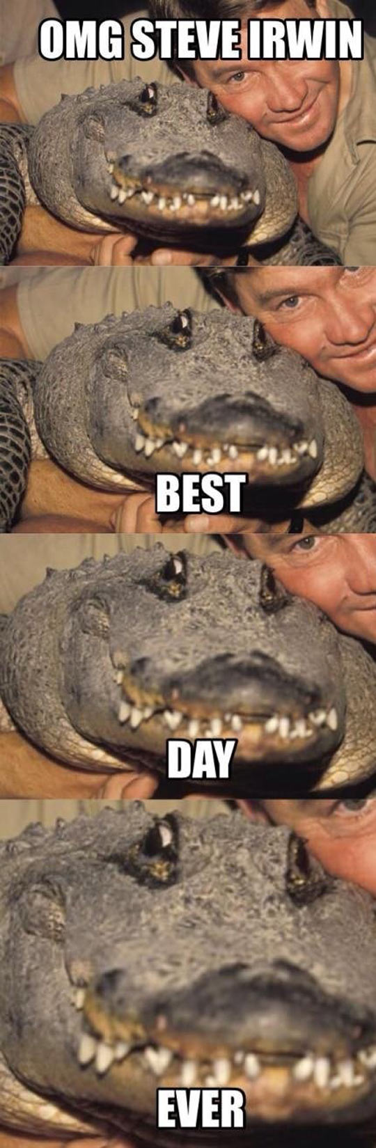 funny-picture-alligator-Steve-Irwin-fan