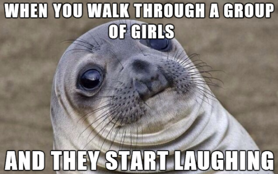 funny-picture-awkward-seal-girls-laugh