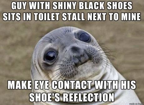 funny-picture-awkward-seal-toilet