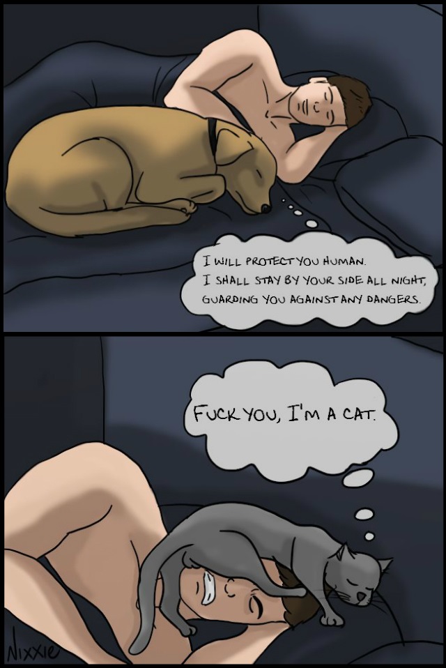 funny-picture-comics-cats-and-dogs