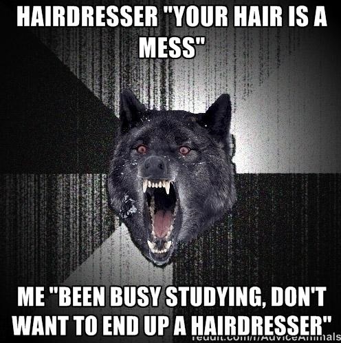 funny-picture-hairdresser-insanity-wolf