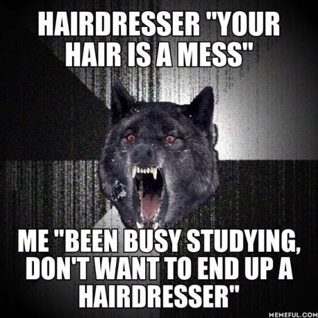 funny-picture-insanity-wolf-hair