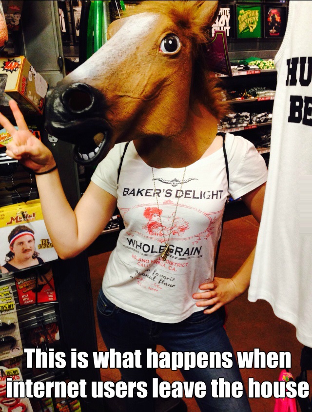 funny-picture-internet-horse-mask