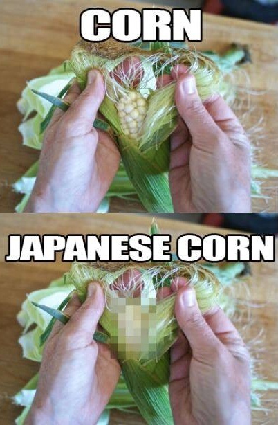 funny-picture-japan-countries-corn