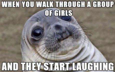 funny-picture-meme-seal-girls