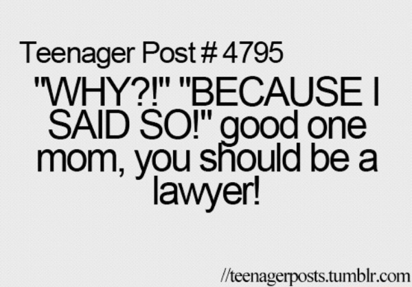 funny-picture-mom-lawyer