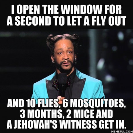 funny-picture-open-window