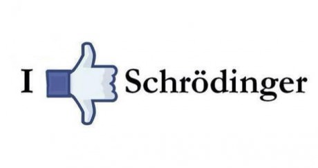 funny-picture-schrodinger-like