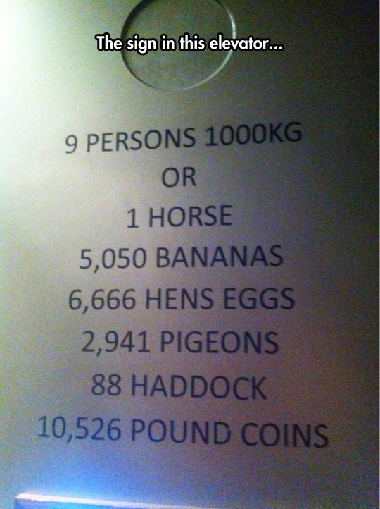 funny-picture-sign-elevator-person-weight-scale