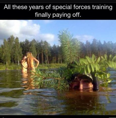 funny-picture-underwater-forces