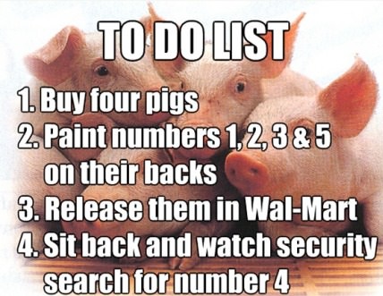 funny-picture-walmart-pigs