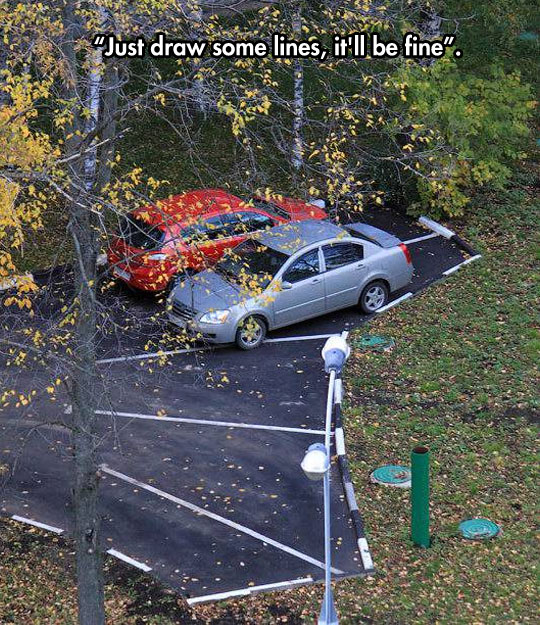funny-picture-crooked-parking-lines-forest