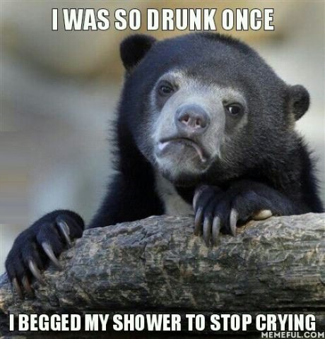 funny-picture-drunk-confession-bear