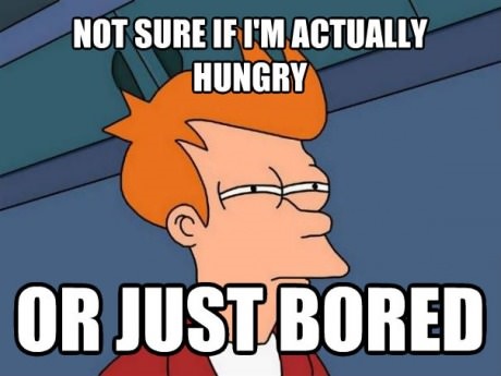 funny-picture-hungry-bored
