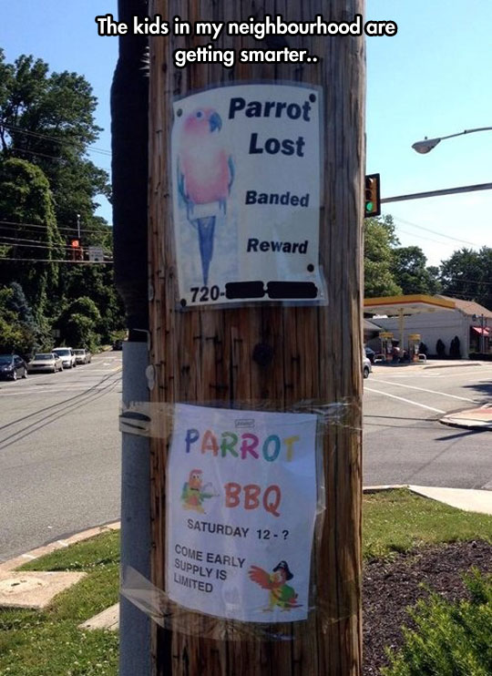 funny-picture-lost-parrot-sign-BBQ