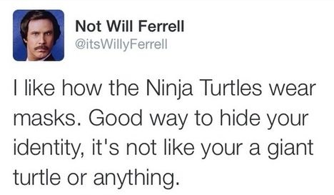 funny-picture-ninja-turtle