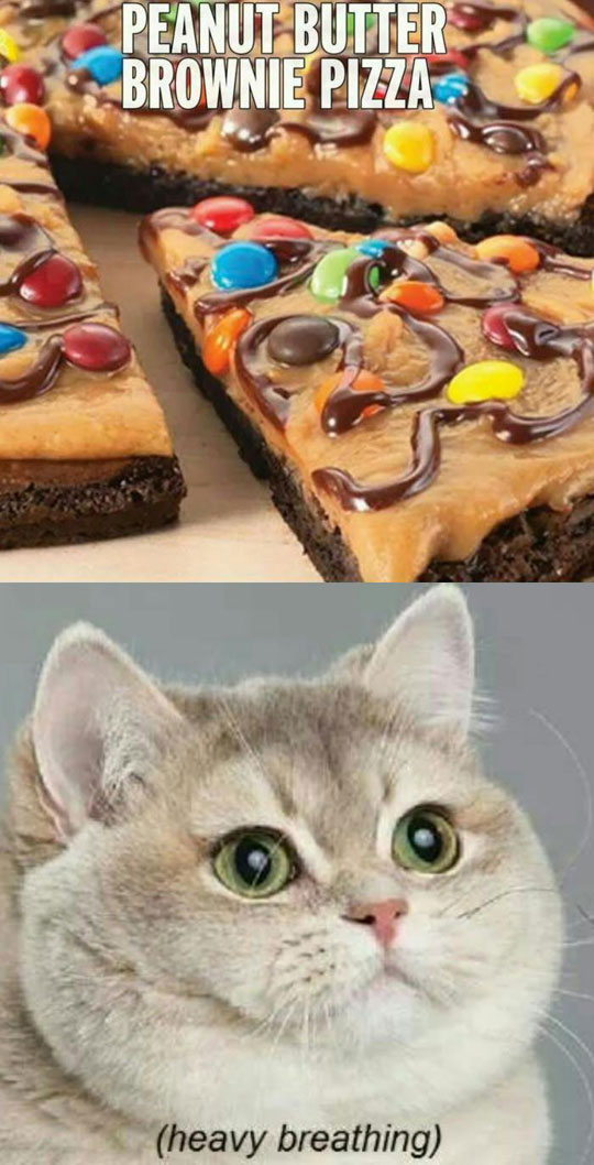 funny-picture-peanut-butter-brownie-pizza-breathing-cat