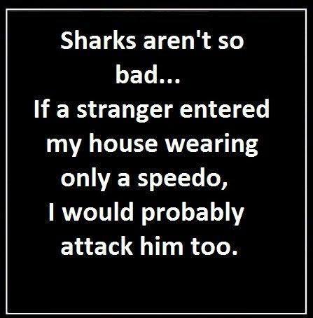 funny-picture-sharks-stranger-attack