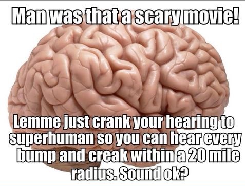 funnu-scary-movie-brain-mem