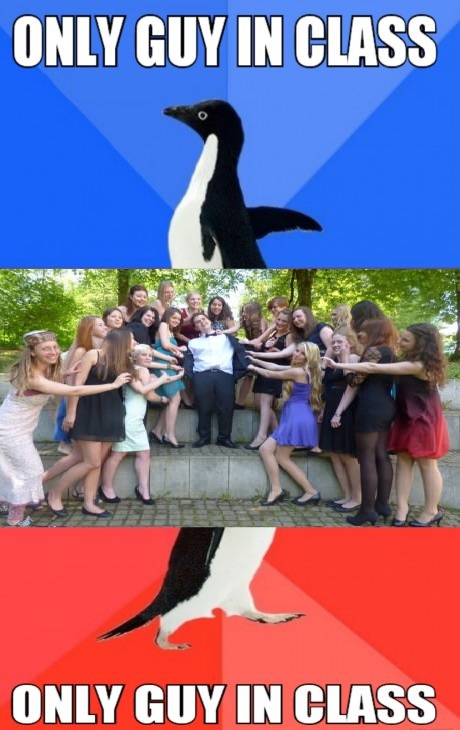 funny-only-guy-awkward-penguin-meme