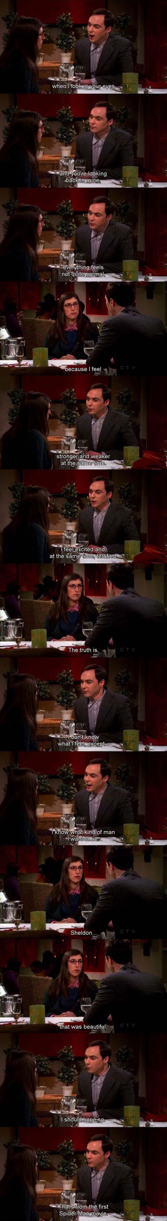 funny-Sheldon-romantic-speech-Spiderman