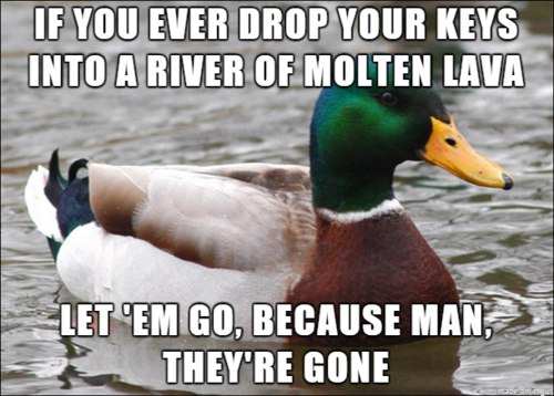 funny-advice-duck-keys-lava