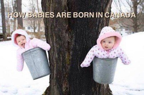 funny-babies-canada