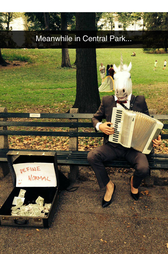 funny-man-Central-Park-horse-mask