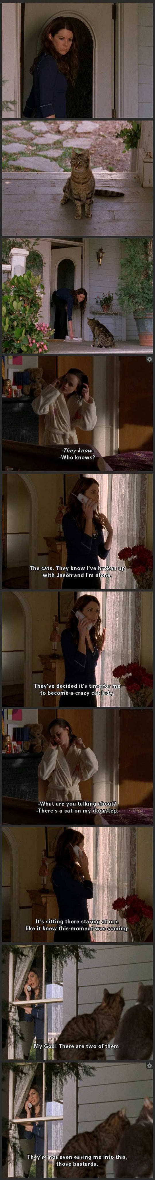 funny-Gilmore-Girls-crazy-cat-lady