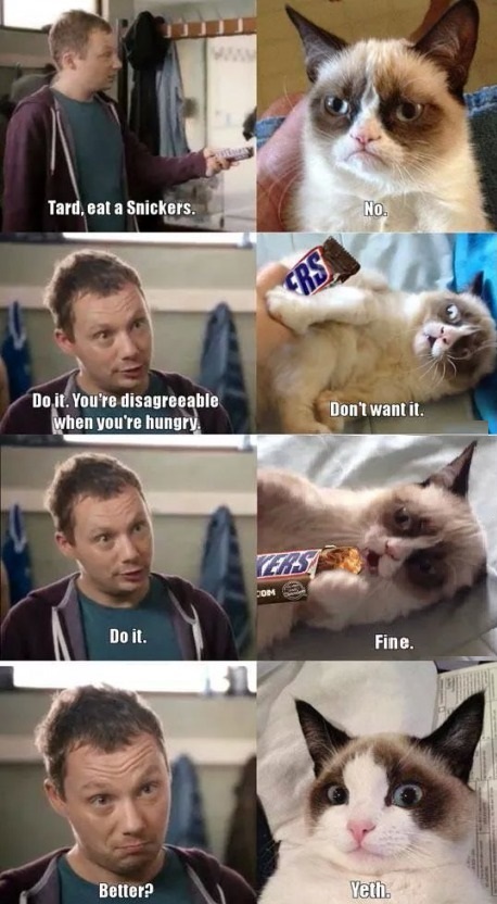 funny-grumpy-cat-snickers
