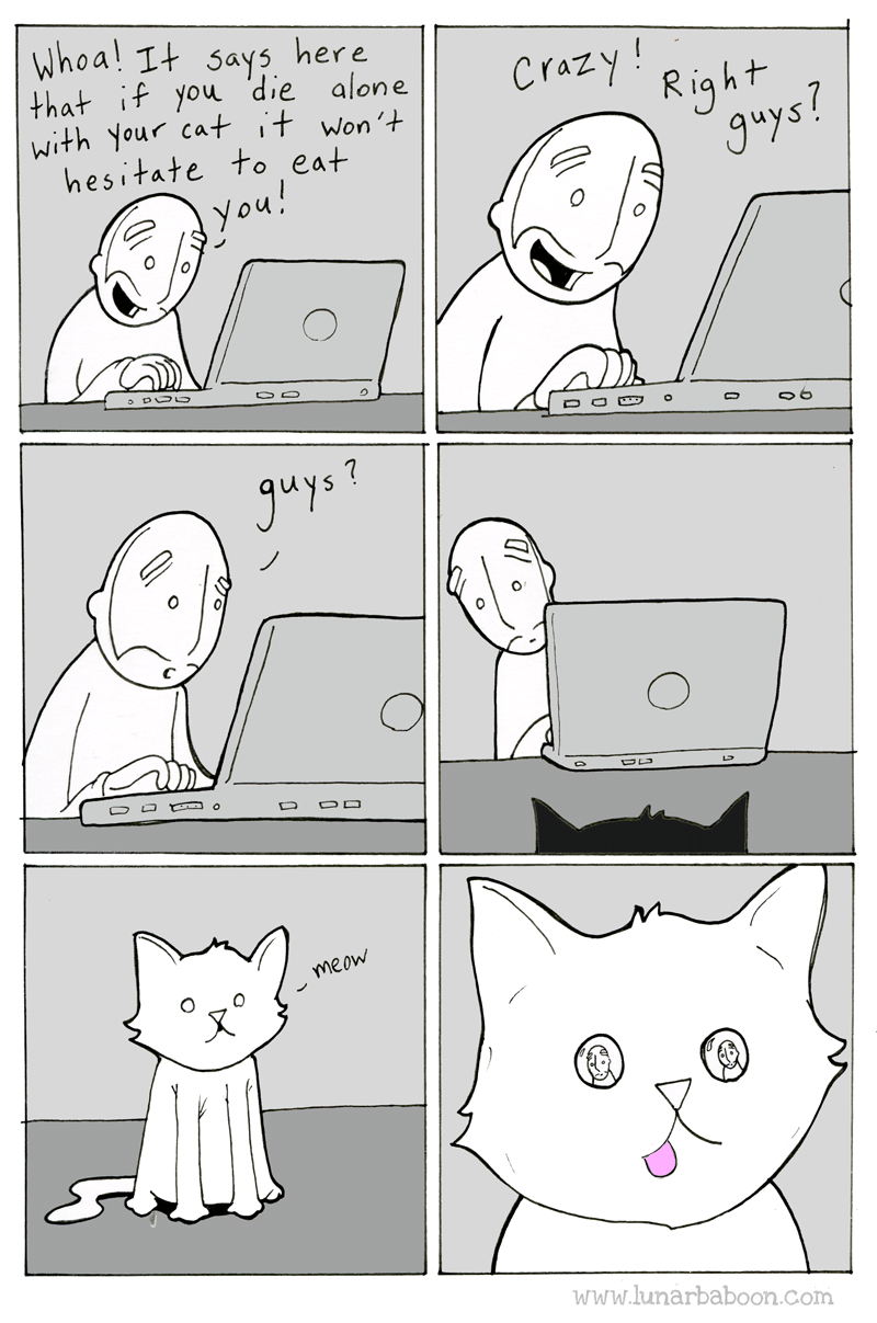 funny-lunarbaboon-comics-gif-cat