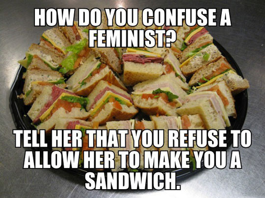 funny-sandwich-tray-feminist