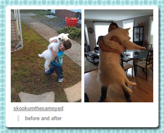 cute-kid-hugging-dog-growing