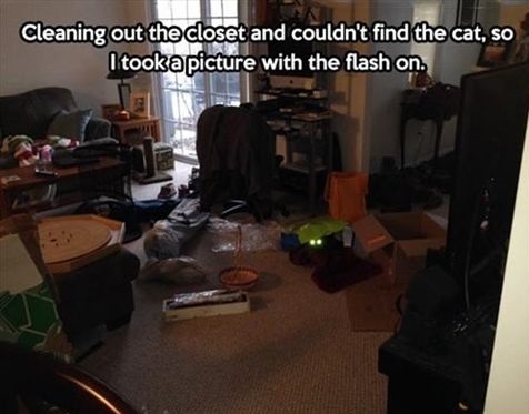 funny-cat-eyes-flash-photo