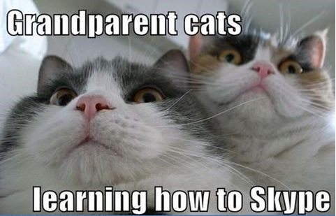 funny-cats-skype-grandparents