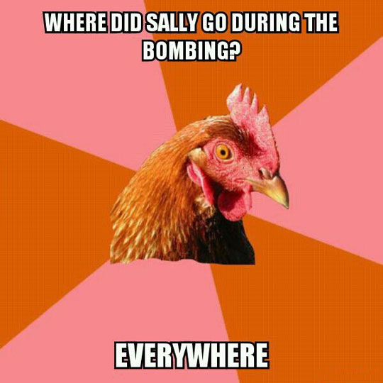 funny-chicken-joke-Sally-bombing