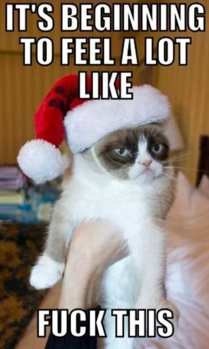 funny-christmas-november-grumpy-cat