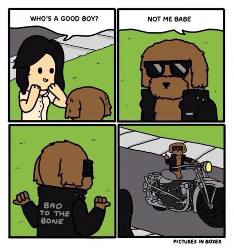 funny-comics-good-boy-dog