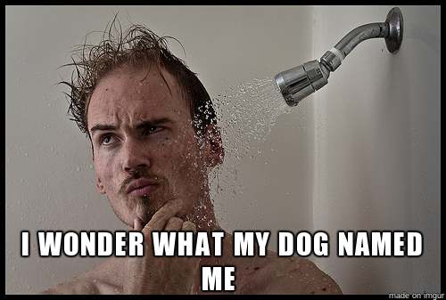 funny-dog-name-shower-thoughts