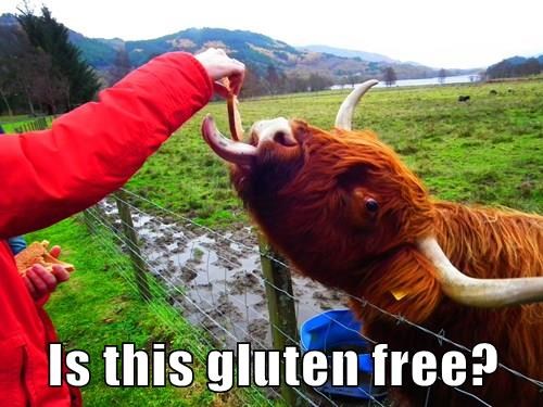 funny-gluten-free-food