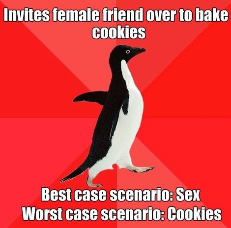 funny-meme-penguin-friend-sex-cookies
