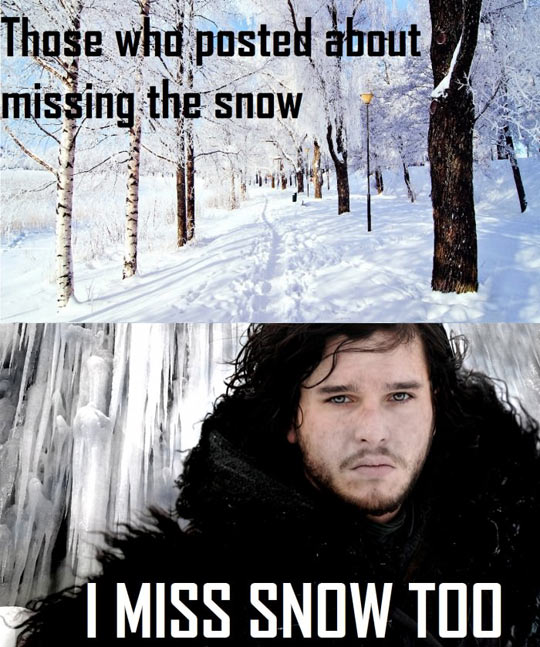 funny-winter-snow-Jon-cold-woods