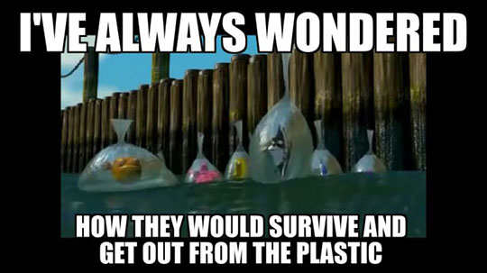 funny-Nemo-fishes-plastic-bags