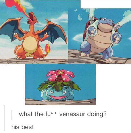 funny-Pokemon-attack-Venasaur-doing